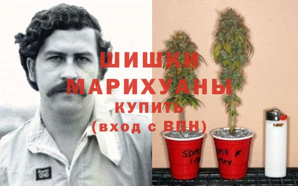 дживик Елабуга