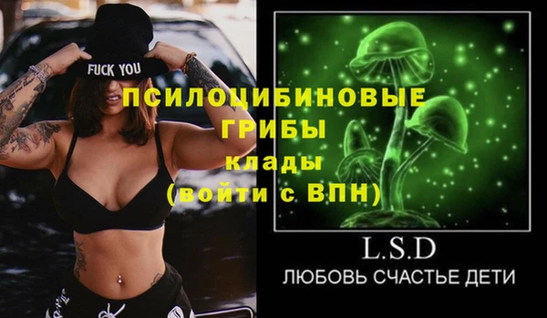 МДПВ Алексин
