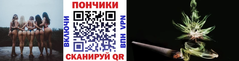 Шишки марихуана Ganja  Шумиха 